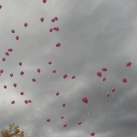 Elengedt%C3%A9k%20a%20lufikat