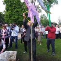 17 Rem%C3%A9ny%20f%C3%A1ja%20szalagokkal%20disz%C3%ADtve